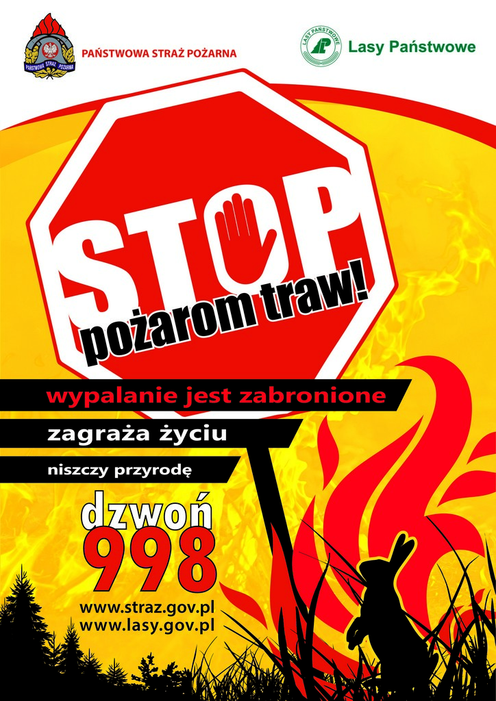Pożar traw